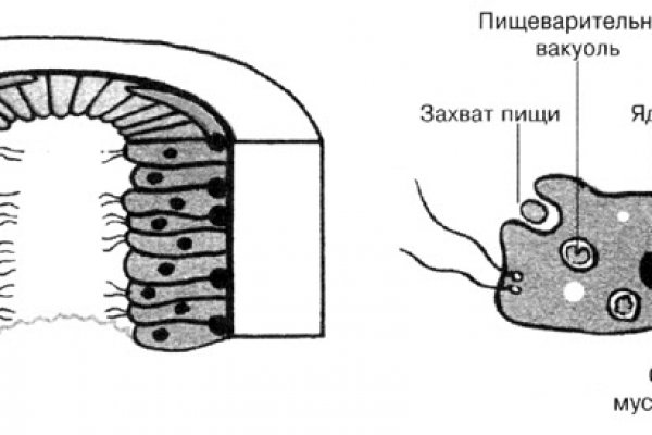 Кракен са