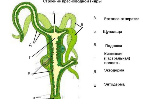 Кракен ссылка bazaonion com