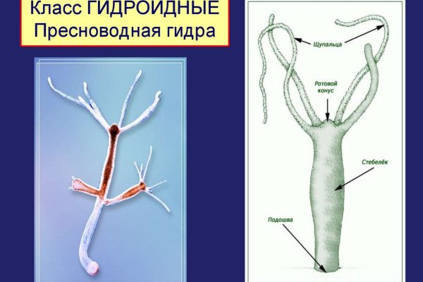 Кракен даркнет kraken014 com